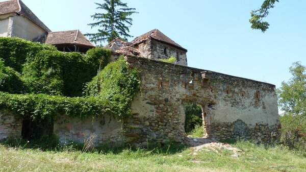 Dobring im Jahr 2014