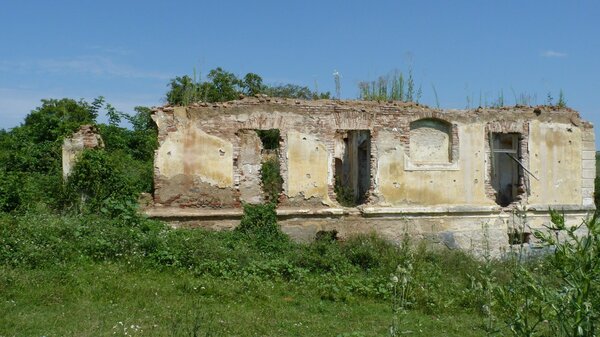 Dobring im Jahr 2014
