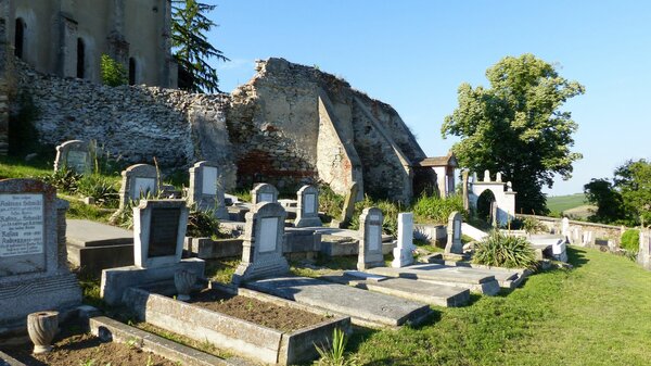 Dobring im Jahr 2017