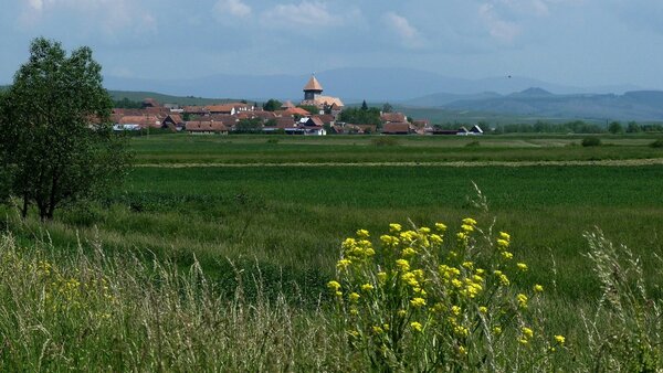 Draas im Jahr 2014