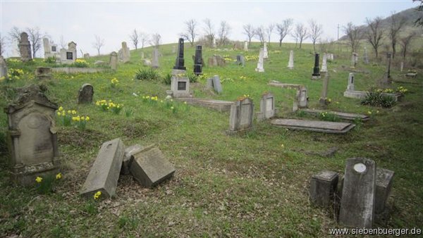 Am Felldorfer Friedhof im April 2011