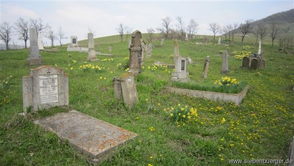 Friedhof -Felldorf im April 2011
