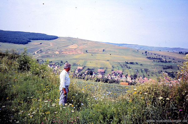 Hfe und Huser in Felldorf von Stefan und Margit GROSS um 1964