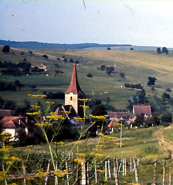 Hfe und Huser in Felldorf von Stefan und Margit GROSS um 1968