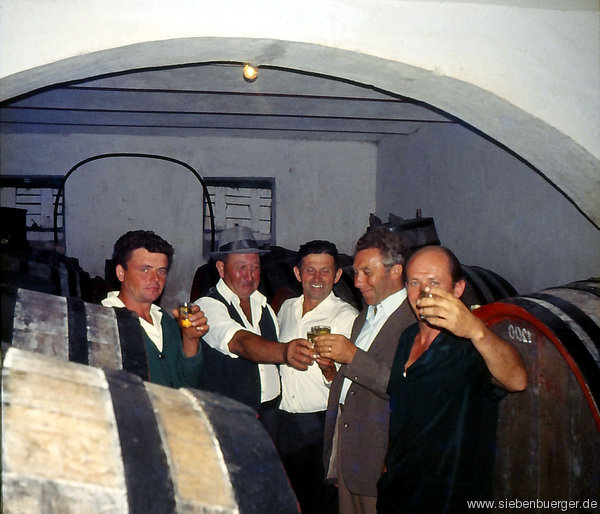 Weinverkostung in Felldorf