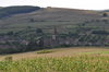 Blick ber Felldorf im August im 2013, von den einstigen Weinbergen aus gesehen..