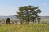 Friedhof in Egrest