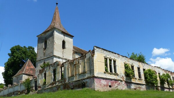 Felmern im Jahr 2017