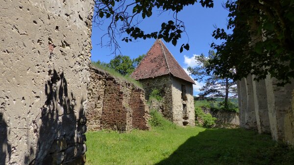 Felmern im Jahr 2017