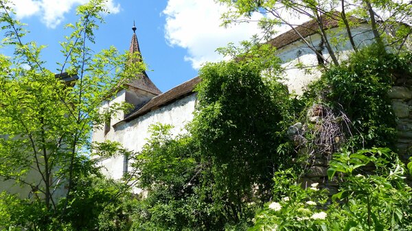 Felmern im Jahr 2017