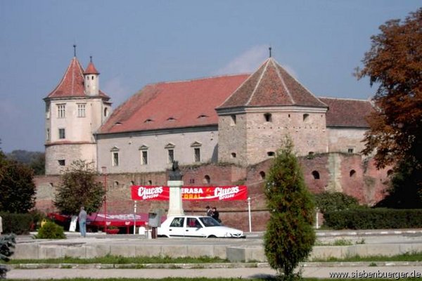 Fogarascher Schloss mit Bildnis der D-na Stanca