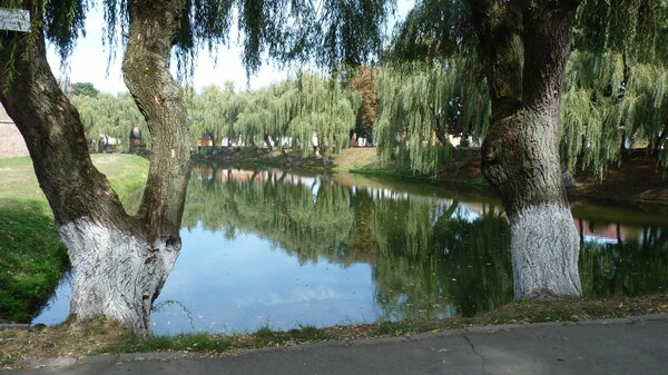 Fogarasch im Jahr 2011