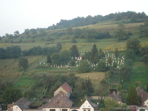 Der Friedhof vom Kirchturm gesehen