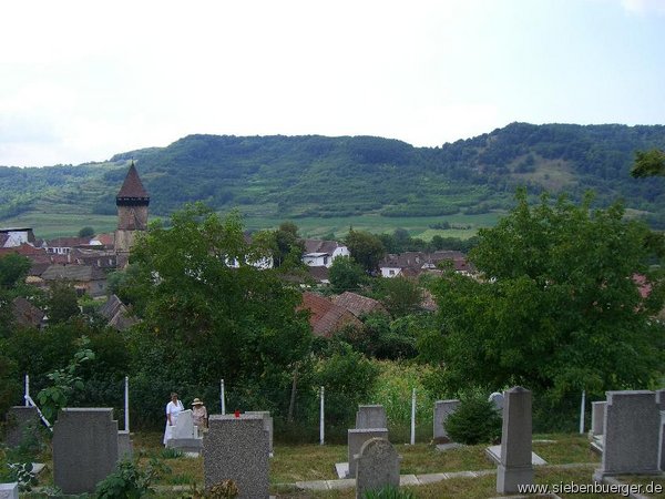 Frauendorf, zugewachsene Weinberge im Hintergrund