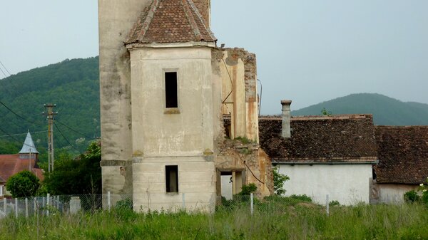Groeidau im Jahr 2014