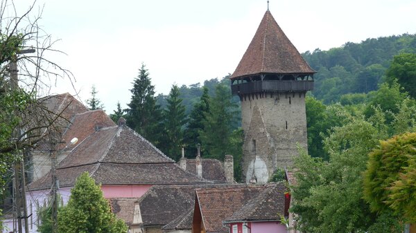 Grolasseln im Jahr 2013