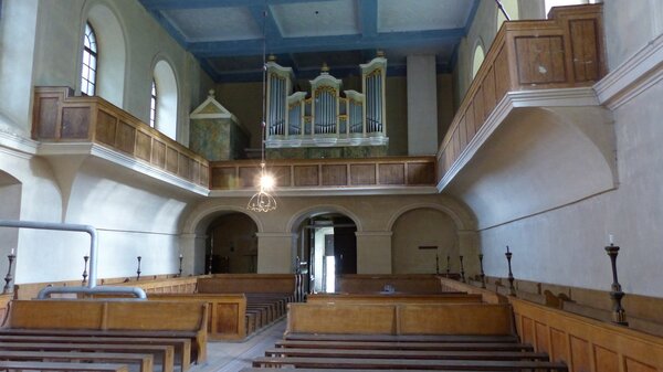 Grolasseln im Jahr 2017