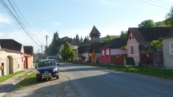 Grolasseln im Jahr 2014