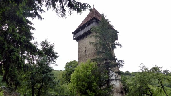 Grolasseln im Jahr 2017