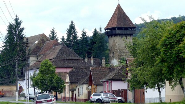 Gro�lasseln im Jahr 2017