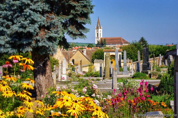 Friedhof mit unserer Kirche 