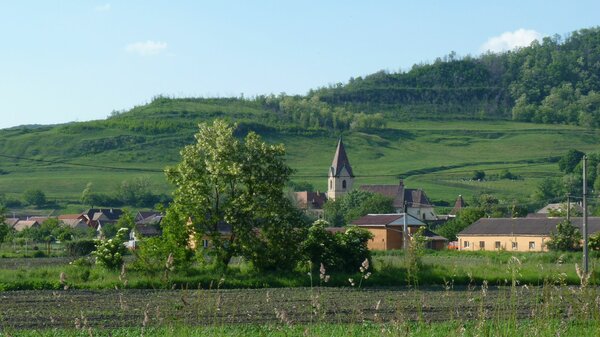 Groprobstdorf im Jahr 2014
