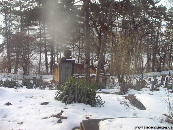 Blick ber den winterlichen Friedhof