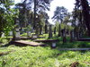 auf dem Friedhof