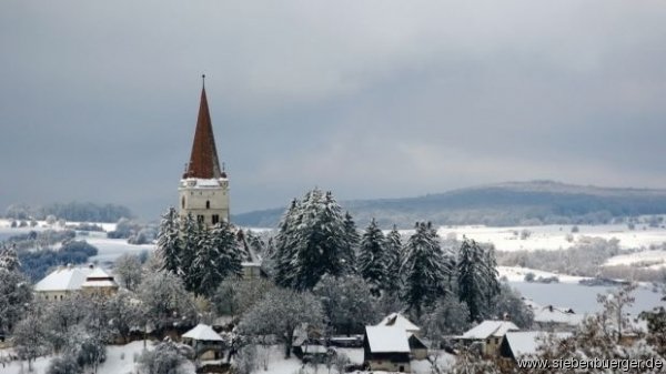 Groschenk im Winter