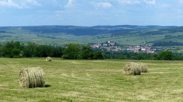 Gro�schenk im Jahr 2015