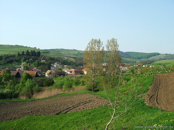 Hahnbach Mai 2010