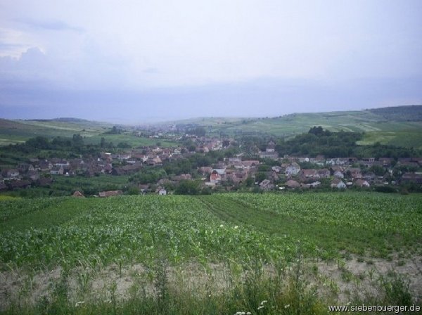 Hahnbach 2006
