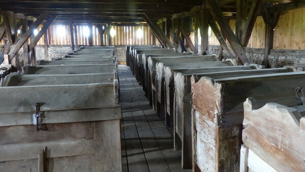 Henndorf im Jahr 2017