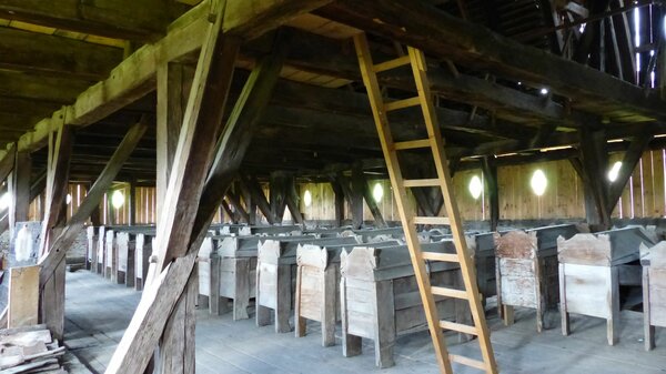 Henndorf im Jahr 2017