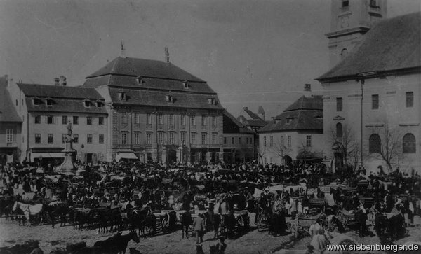 Groer Ring in Hermannstadt 1942