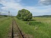 Gleise der Schmalspurbahn „Wusch“ imHarbachtal