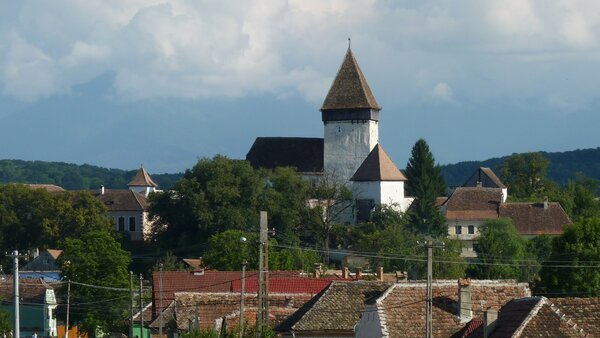 Holzmengen im Jahr 2014