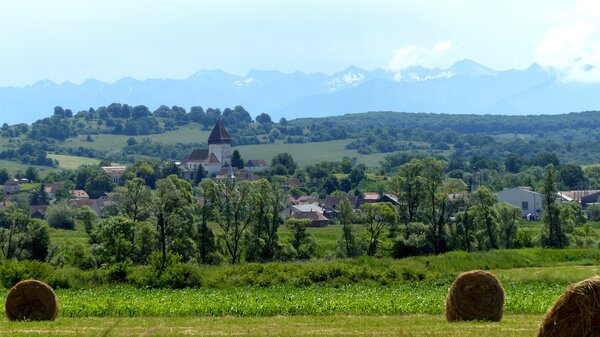 Holzmengen im Jahr 2017