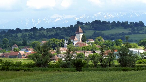 Holzmengen im Jahr 2023