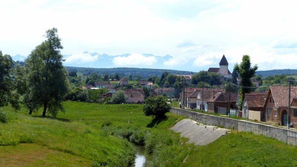 Holzmengen im Jahr 2015