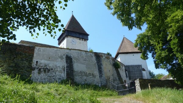 Holzmengen im Jahr 2015