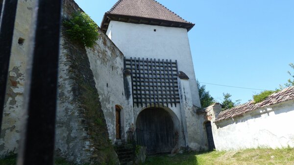 Holzmengen im Jahr 2015