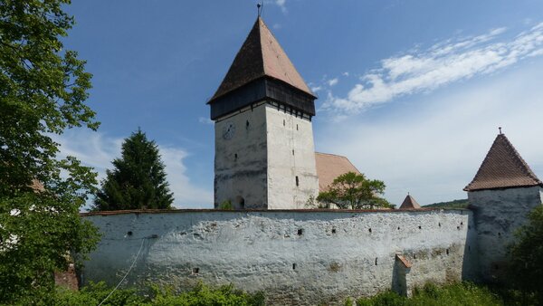 Holzmengen im Jahr 2015