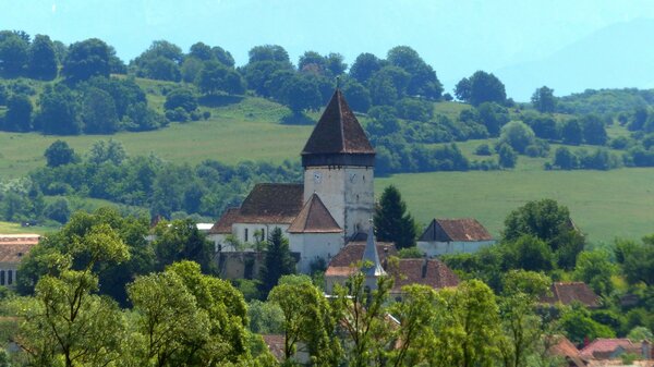 Holzmengen im Jahr 2015