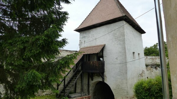 Holzmengen im Jahr 2017
