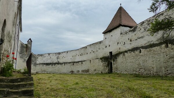 Holzmengen im Jahr 2017