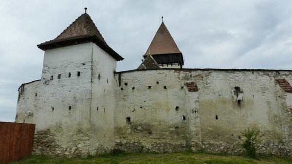 Holzmengen im Jahr 2017
