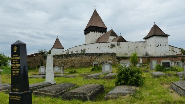 Holzmengen im Jahr 2017