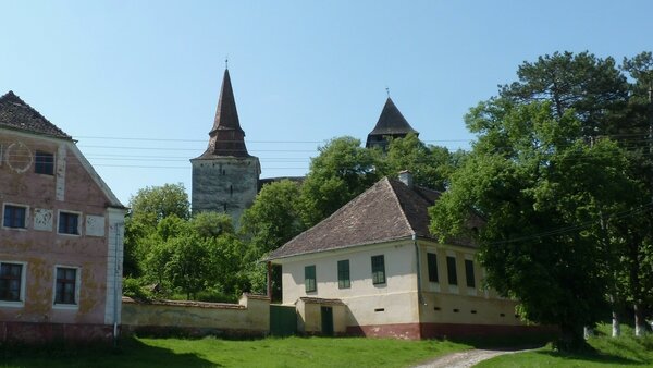 Hundertbcheln im Jahr 2014