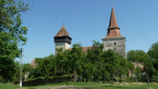 Hundertbcheln im Jahr 2014